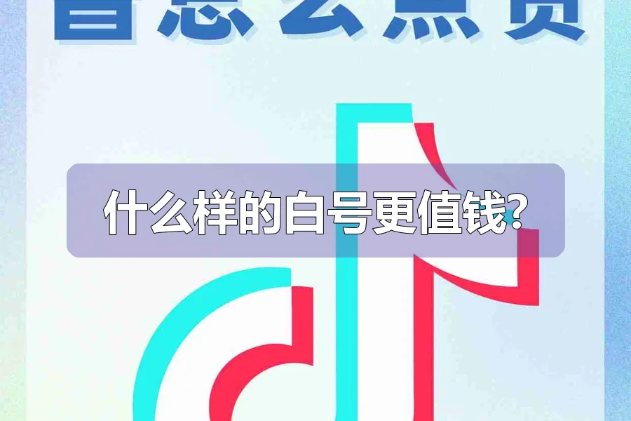 什么样的白号更值钱?